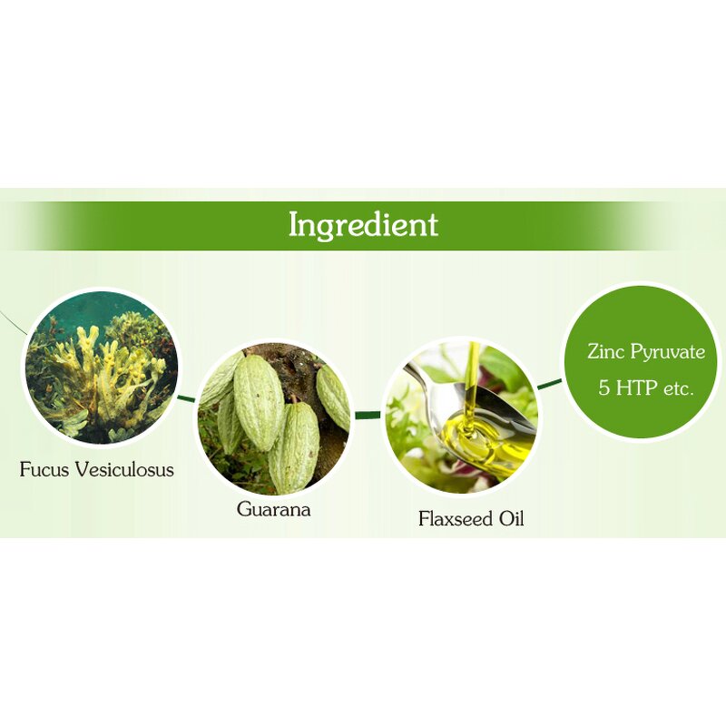 Weight Loss Patch - Manufacturer - Wholesale OEM Guarana Transdermal Absorption