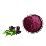 Elderberry Powder Manufacturer - 10%-25% Anthocyanidins Black Extract