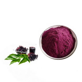 Elderberry Powder Manufacturer - 10%-25% Anthocyanidins Black Extract