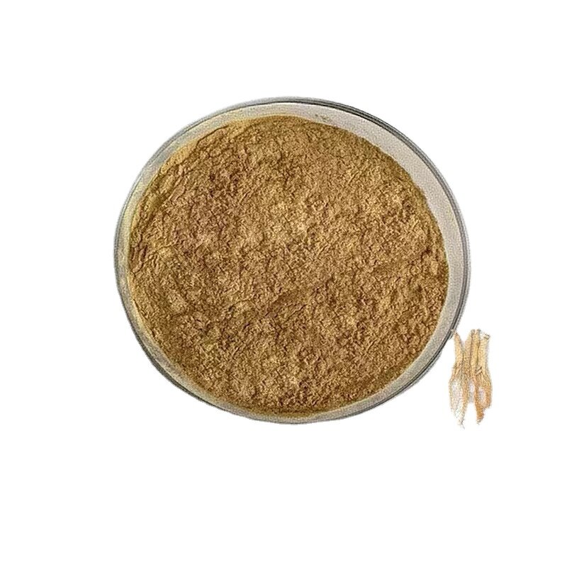 Ginseng Root Extract Powder Manufacturer - Natural 40% Saponins Ginsenoside