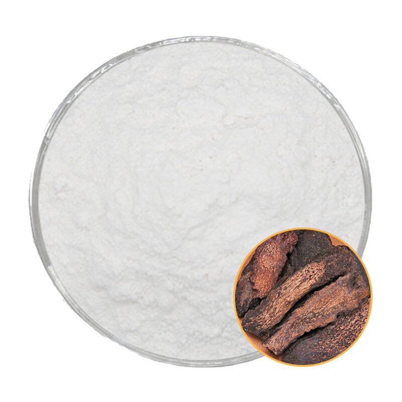 Cistanche Extract Powder Manufacturer - Natural with 10%-98% Acteoside CAS 61276-17-3