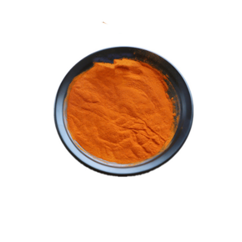 Monascus Yellow Powder Manufacturer - Food Grade Pure Color Pigment