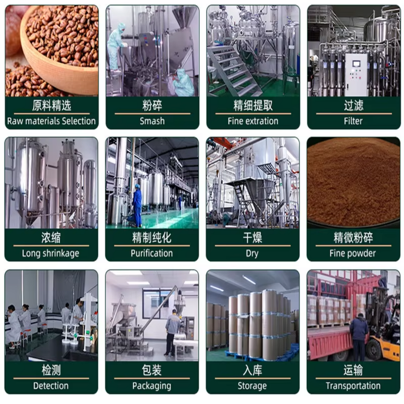 Tranexamic Acid Powder Manufacturer - 99% for Skin Care CAS 1197-18-8