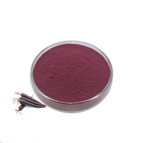 Black Carrot Extract Manufacturer - Factory Direct Purple Natural Juice Powder
