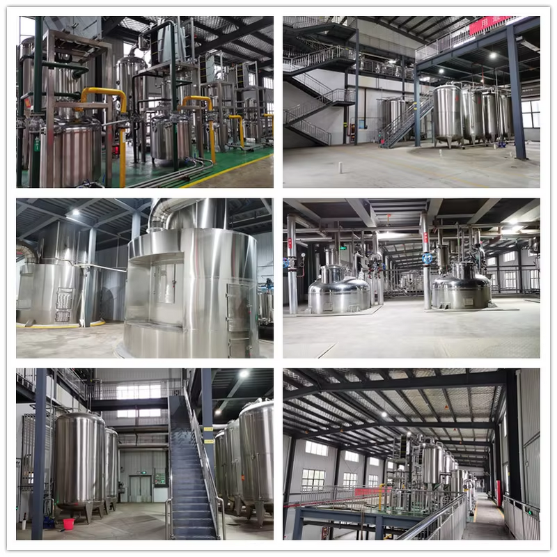 Oyster Powder Manufacturer - Natural Meat Extract