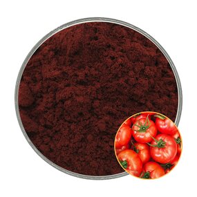 Lycopene Powder Manufacturer - 5%-98% Natural Extract Pigment CAS 502-65-8