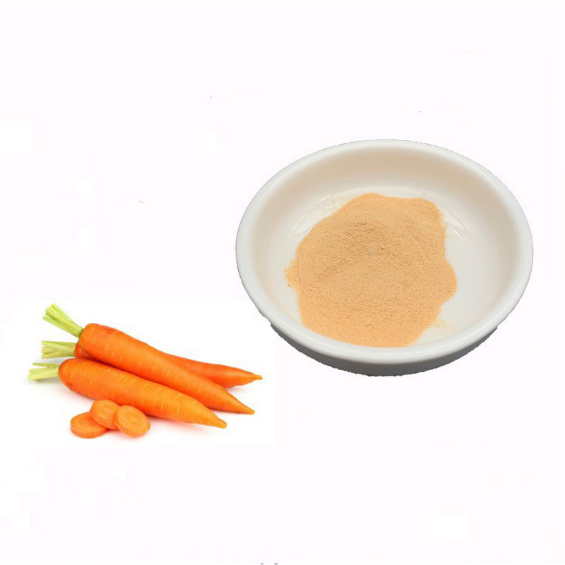 Carrot Powder Manufacturer - SunHealth Factory Supply Natural Freeze Dried
