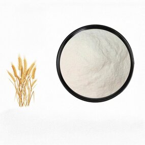 Hydrolyzed Wheat Protein Manufacturer - Food Grade 90% Peptide Powder in Drum