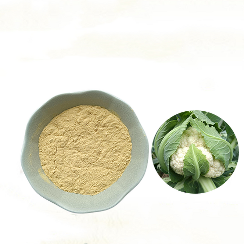 Cauliflower Powder Manufacturer - Factory Price Sprouts Extract 99%