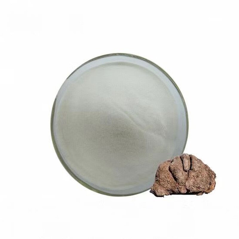 Poria Peptide Powder Manufacturer - Food Grade Poria Cocos Extract Protein