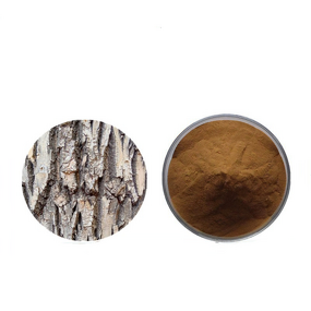 Slippery Elm Bark Powder Manufacturer - 100% Pure Natural Herbal Inner Bark