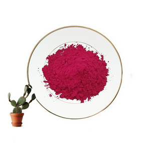 Cactus Fruit Powder Manufacturer - Natural Opuntia Ficus-indica Extract