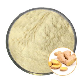 Ginger Extract Manufacturer - Natural with 1%-10% Gingerol, CAS 23513-14-6