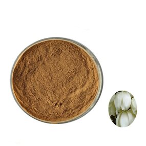 Yucca Root Extract Manufacturer - High Quality Food Grade 30%-60% Saponin Powder