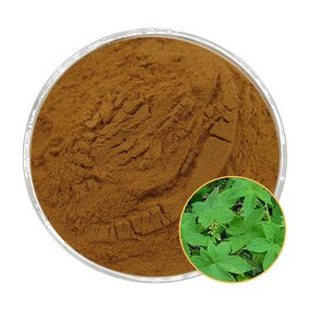 Devil's Claw Extract Powder Manufacturer - 2.5%-5% Harpagoside CAS 19210-12-9
