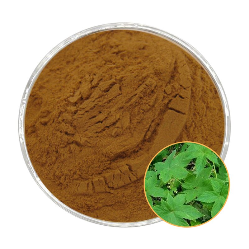 Devil's Claw Extract Powder Manufacturer - 2.5%-5% Harpagoside CAS 19210-12-9