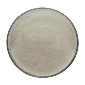Cholic Acid Manufacturer - CAS 81-25-4 Cattle & Sheep Bile Extract Food Ingredient