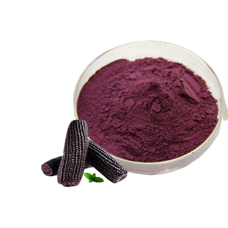 Purple Corn Extract Manufacturer - Factory Supply 5%-25% Anthocyanin