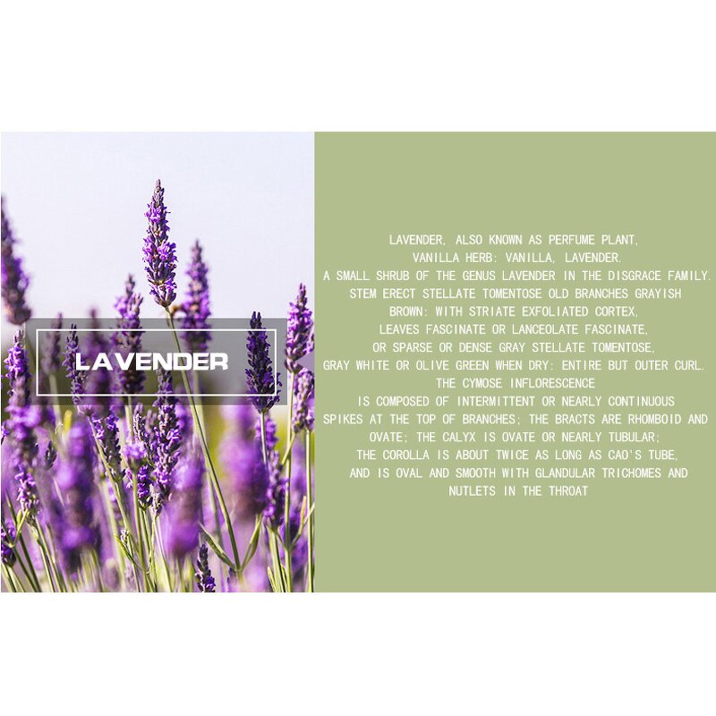 Essential Oil Manufacturer - Lavender Pure Floral Fragrance Water Soluble