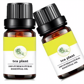 Essential Oil Manufacturer - Pure Tea Tree Private Label Organic Natural