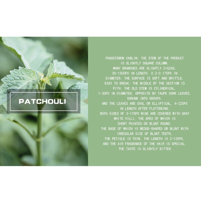 Essential Oil Manufacturer - Natural Organic Patchouli for Mood Relaxation