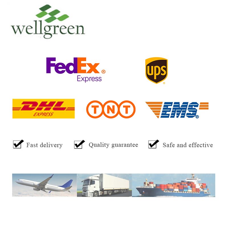 Yucca Extract Powder Manufacturer - Wellgreen High Quality Schidigera Root Saponin