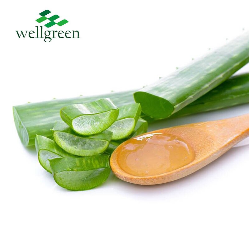 Aloe Vera Extract Powder Manufacturer - Bulk Natural 100% Pure Inner Leaf Gel