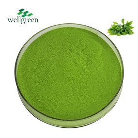 Matcha Powder Manufacturer - Samples Available AAA Standard for Beverage & Food