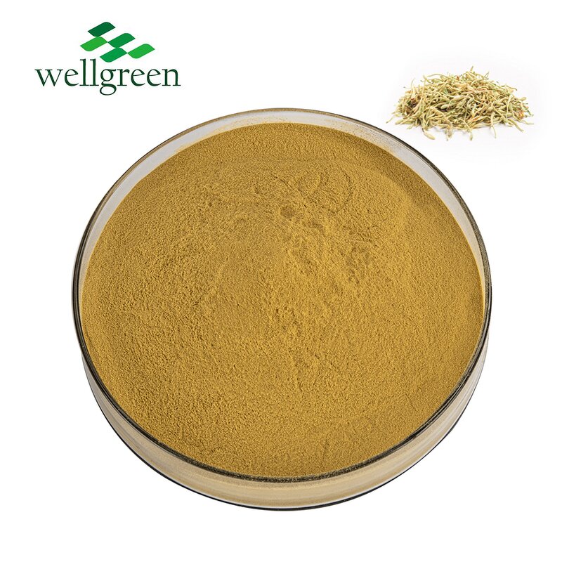 Honeysuckle Flower Extract Manufacturer - Wellgreen Factory Supply with Chlorogenic Acid