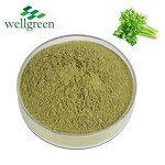 Celery Powder Manufacturer - Chinese Factory Export Low Price from Seeds