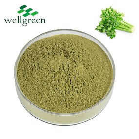 Celery Powder Manufacturer - Chinese Factory Export Low Price from Seeds