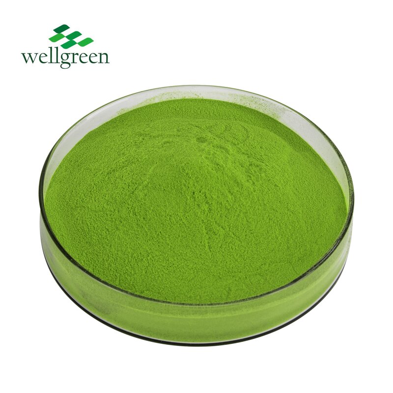 Matcha Powder Manufacturer - Instant Green Tea Ceremonial 100% Organic