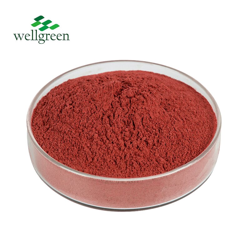 Tomato Powder Manufacturer - Natural Organic Food Grade Spray Dried