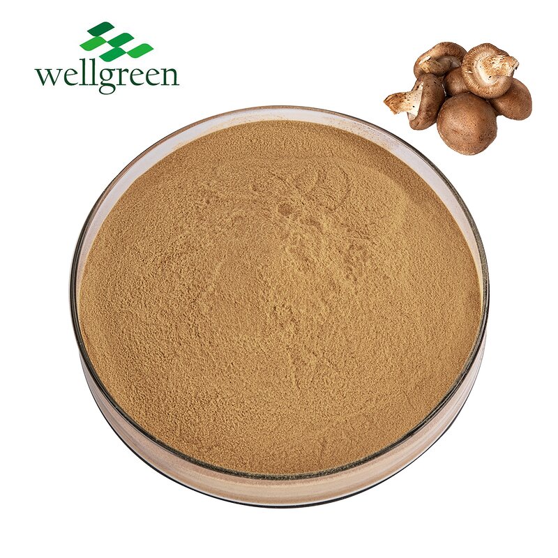 Shiitake Mushroom Powder Manufacturer - Factory Outlet Lentinus Edodes Extract