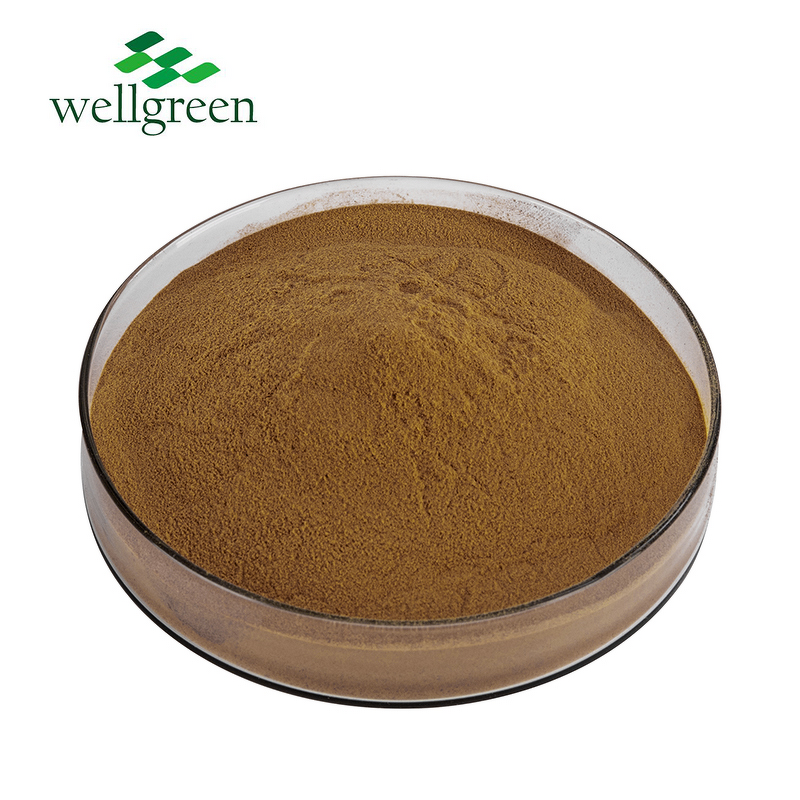 Shikakai Powder Manufacturer - Wellgreen Natural 10:1 from Pods for Shampoo