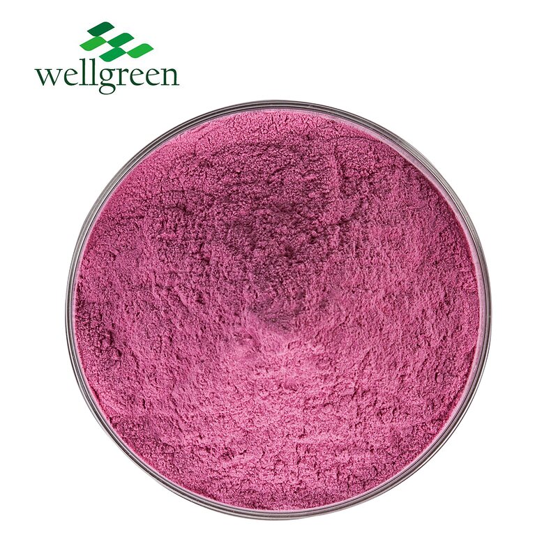 Watermelon Juice Powder Manufacturer - Pure Natural Water Soluble Freeze Dried
