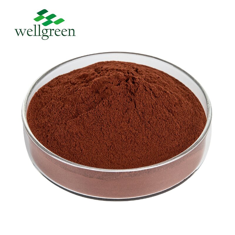 Grape Seed Extract Powder Manufacturer - Skin Cosmetic Use 95% OPC Natural Antioxidant