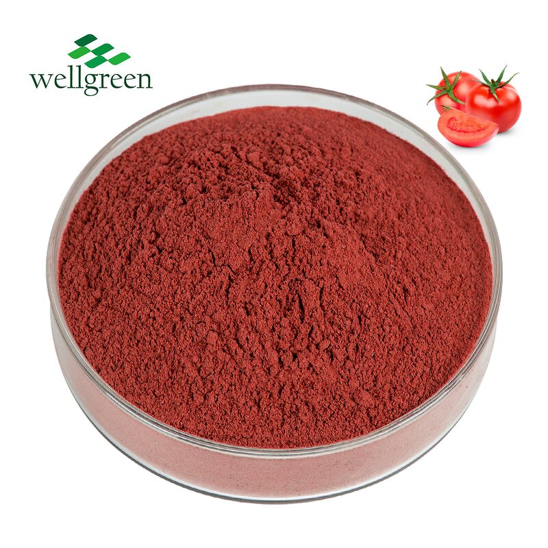 Tomato Powder Manufacturer - 100% Natural Vegetable Spray Dried Food Grade