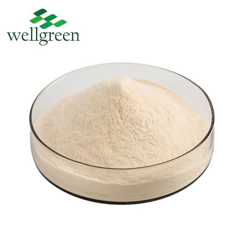 Aloe Vera Powder Manufacturer - Wellgreen Spray Dried Freeze-Dried 200:1 Gel