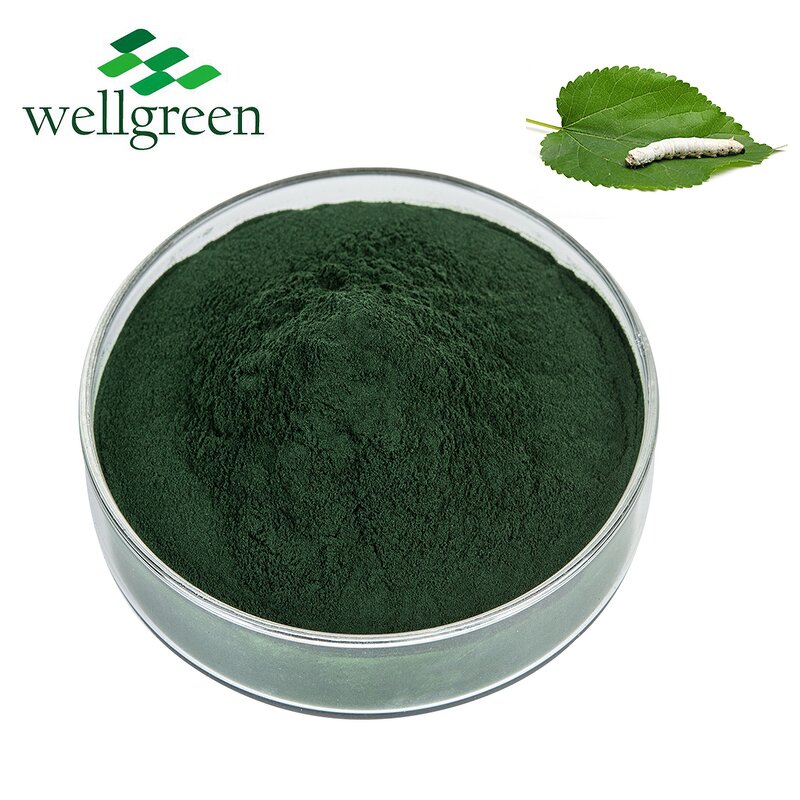 Chlorophyllin Powder Manufacturer - Natural Mulberry Leaf Extract E80 Sodium Copper