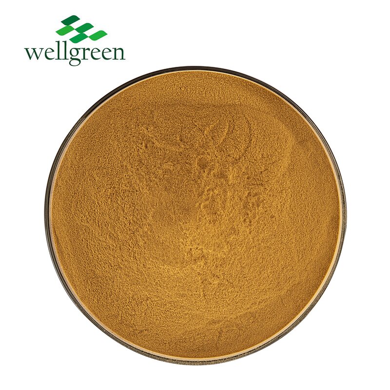 Rosemary Extract Powder Manufacturer - Free Sample 5%-90% Rosmarinic Acid Cosmetic