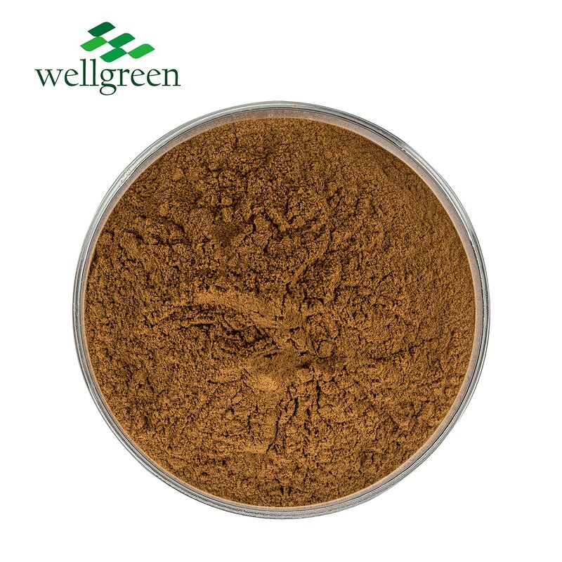 Fennel Extract Powder Manufacturer - Factory Direct OEM from Illicium Verum Seed
