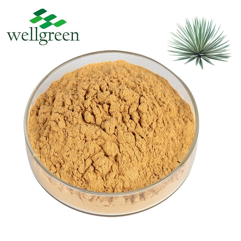 Yucca Extract Powder Manufacturer - Root Saponin Water Soluble Sarsaponin