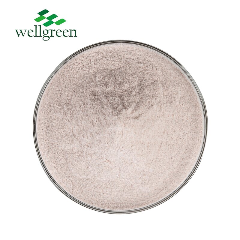 Mangosteen Powder Manufacturer - Organic Fruit Extract Purple Peel Concentrate