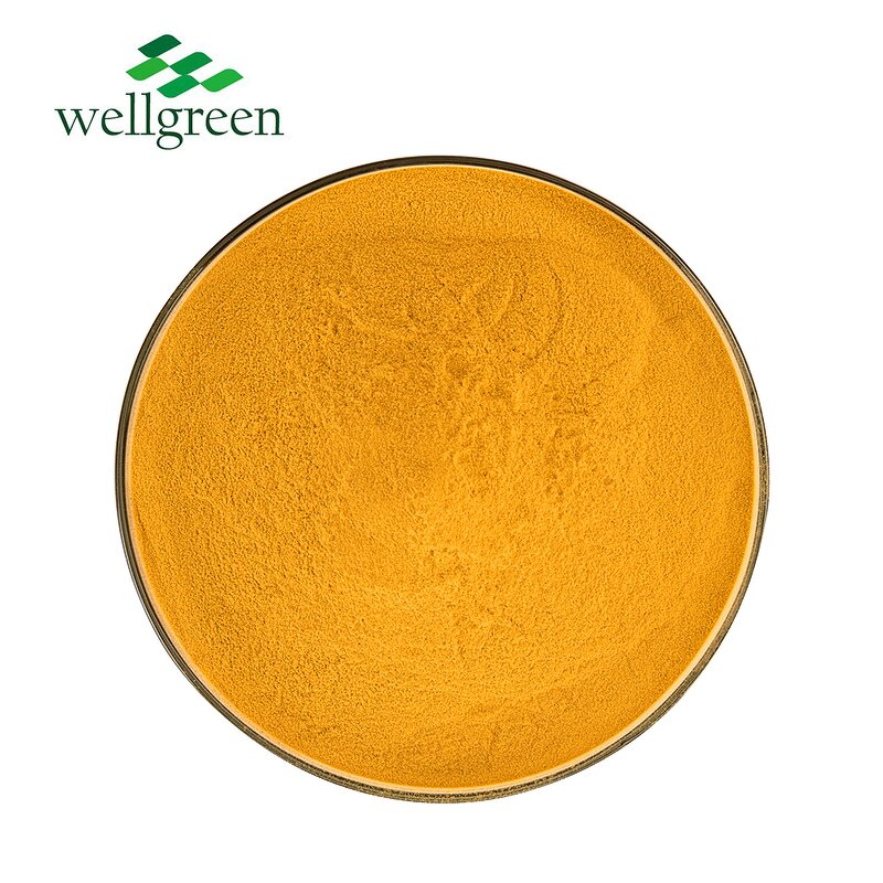 Turmeric Powder Manufacturer - Buyer White 10kg Latte Jar Root Extract