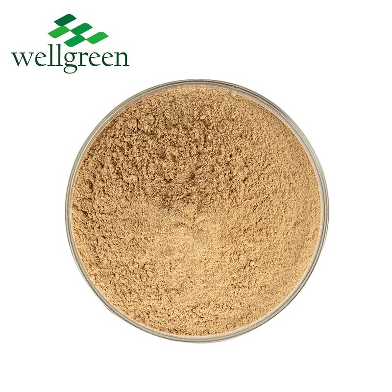 Malt Extract Powder Manufacturer - Manufacturer Suppliers Hydrolyzed from Barley