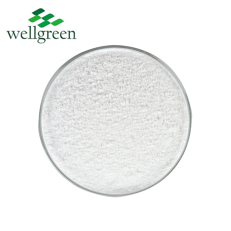 D-Biotin Powder Manufacturer - Wellgreen Bulk Pure Vitamin H for Hair Growth