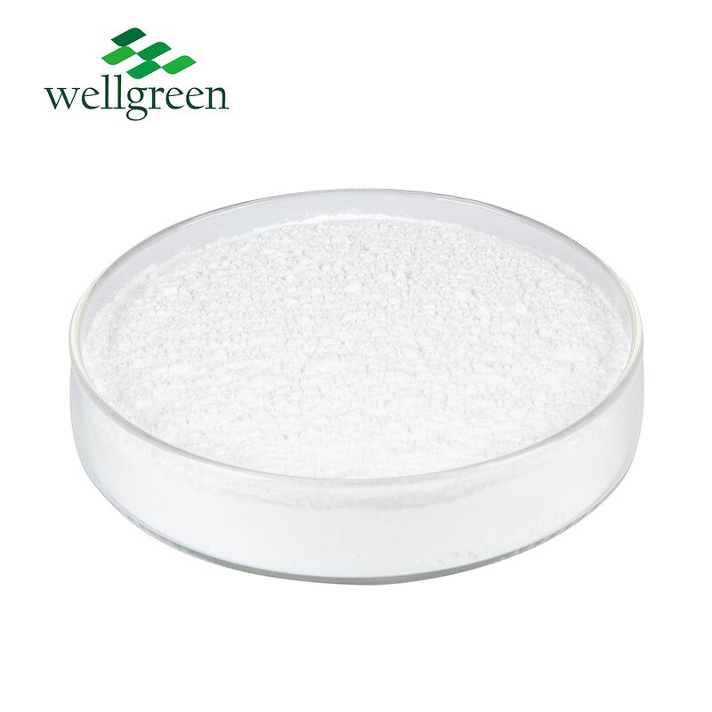 D-Biotin Powder Manufacturer - China Best Price Wellgreen Bulk Pure Vitamin H