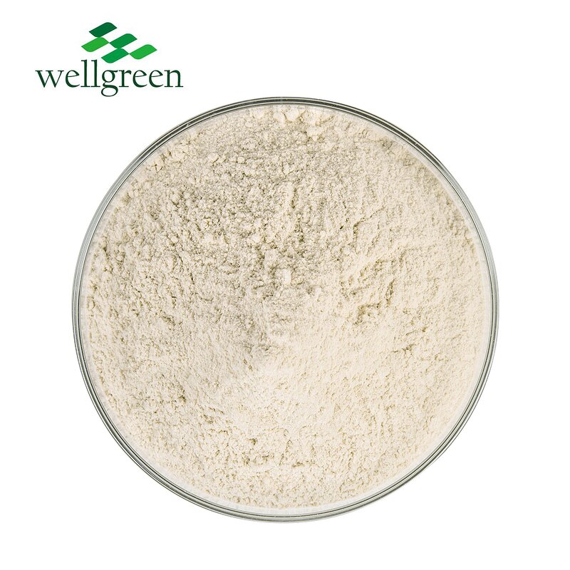 Horse Chestnut Extract Powder Manufacturer - Chinese Supplier Free Sample