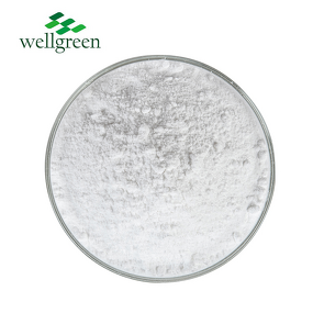 Stigmasterol Powder Manufacturer - Wellgreen Factory Cosmetic Grade 95% CAS 83-48-7